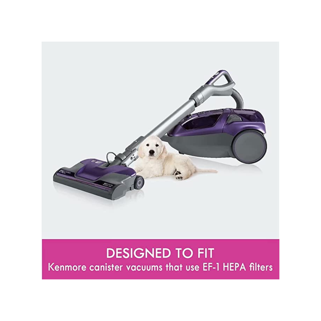 Kenmore EF-1 HEPA Media Filter