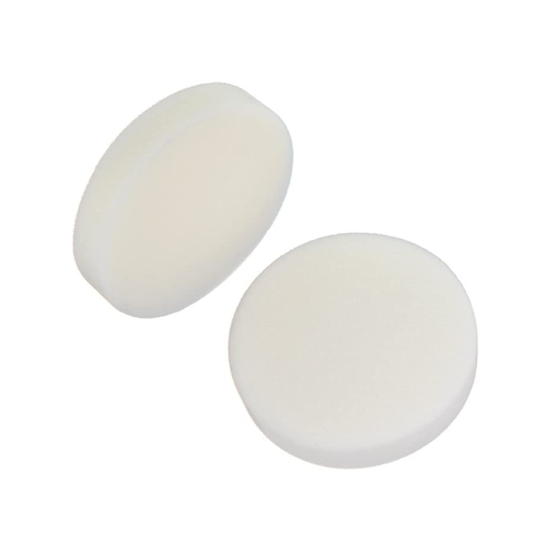 Shark SV1100 Series Foam Filter Set