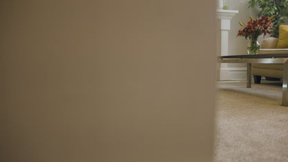 Riccar R27D Clean Air Deluxe Upright Vacuum